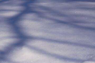 Winter background with tree shadows on the snow. Frosty sunny day.