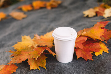 White blank disposable cup with coffee or tea. Dark plaid with bright colorful maple leaves on background. Hot latte or cappuccino in mockup cup. Side view. Beverage for cold autumn days.
