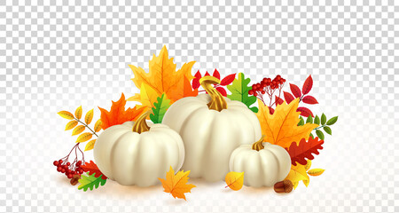 White pumpkins and autumn leaves on transparent background. Autumn festival invitation. Fall party template. Postcard or banner. 3d realistic vector illustration.