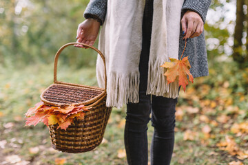 Girl in grey coat, black jeans and beige scarf hold in hand picnic basket with food, beverages and orange maple leaves. Picnic in picturesque park. Autumn change summer season. Soft focus on female.