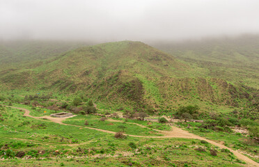 Fototapeta na wymiar Green Landscape in salalah, oman