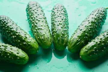 Set of fresh whole cucumbers on a green background, food pattern. Garden cucumber wallpaper backdrop design