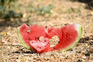 Ripe slice of watermelon with cutted heart in the middle,summer berry closeup