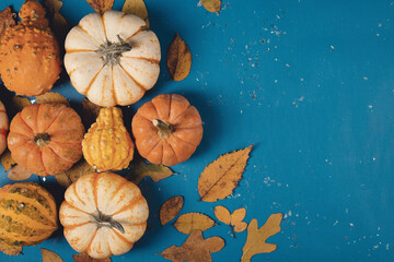 Rustic Thanksgiving background with top view of mini pumpkins on blue background.