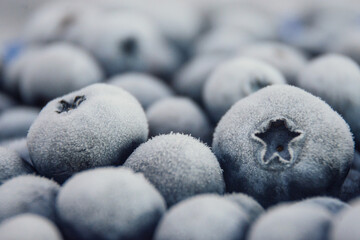 fresh frozen blueberry close-up