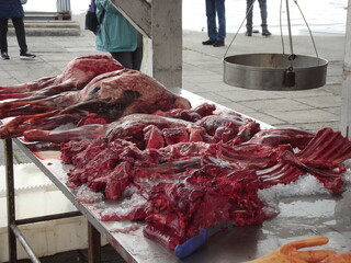 Seal meat on the market in the port of Qaqortog, Iceland