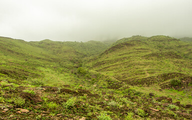 Obraz premium Green Landscape in salalah, oman