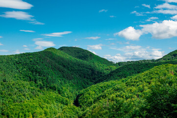 rays of the morning sun over the green mountains, beautiful summer landscape, travel. High quality photo