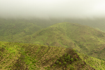 Green Landscape in salalah, oman