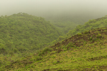 Green Landscape in salalah, oman