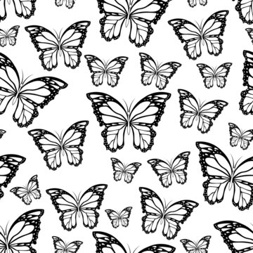 seamlesss vector pattern of butterfly