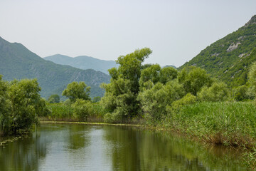 Summer view on the picturesque river. Beautiful, green and lush shore. Trees and plants near the water. Landscape on the natural park. Mountains and blue sky on the background.