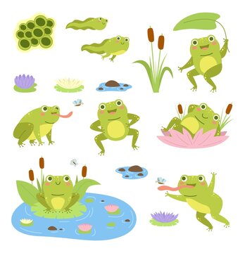 Cartoon frogs. Cute water reptiles, funny amphibians in different poses, tadpoles and toad, lilies and butterflies. Wild fauna, happy frogling in reeds, vector flat style mascot isolated set