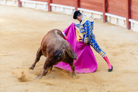 Brave bullfighter and bull of sandy arena