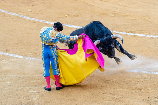Brave bullfighter and bull of sandy arena