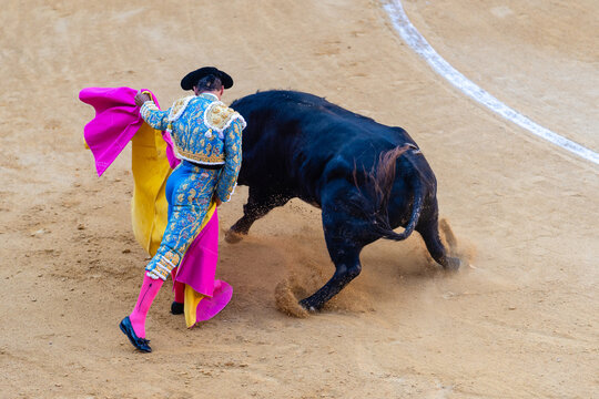 Brave bullfighter and bull of sandy arena