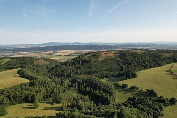 landscape of meadows and trees top view
