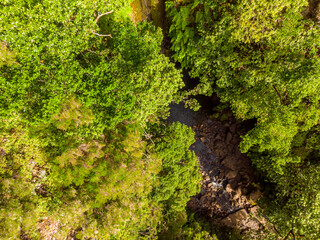 Aerial drop down view of forest waterfall falling into pond.