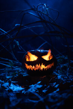 Close-up of a pumpkin on a dark background prepared to celebrate Halloween