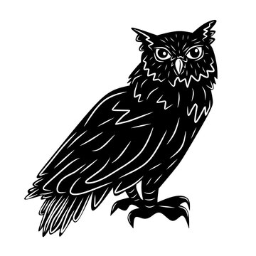Black owl, cartoon isolated on white background, vector illustration for design and decor, Halloween, sticker, template