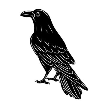 Raven black, cartoon isolated on white background, vector illustration for design and decor, Halloween, sticker, template