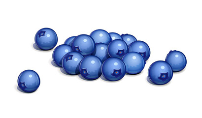 Blueberry. Ripe fresh berry. Isolated on white background. Eps10 vector illustration.