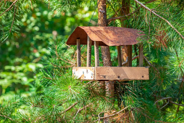 Naklejka premium Summer landscape-bird feeder in the form of a house hanging on a tree against the background of green summer foliage. Animal care concept wallpaper with a picture of a handmade wooden bird feeder