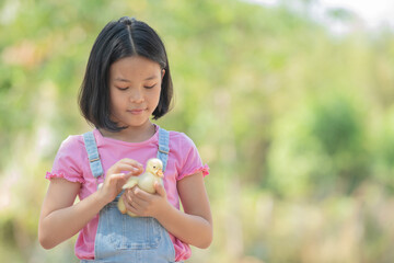 happy little girl with of small ducklings sitting outdoor. adorable little girl school age, yellow duckling in her hands, a baby's chick, Easter, spring holiday, children, love for animals.