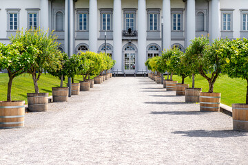 The entrance to the property is lined with pebbles on the road and decorative trees on the sides, columns of a large house in the background.