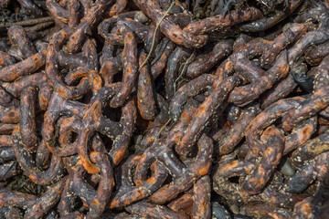 Old rusty chain covered in barnacles