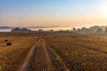 Landscape of a large harvested agricultural wheat field with straw bales at sunrise. Beyond the field is a misty valley and a forest to the horizon.