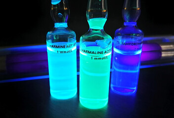 Harmala alkaloid fluorescent solutions ampoules stock images. Laboratory accessories. Chemical...