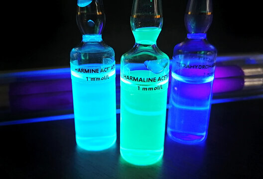 Harmala alkaloid fluorescent solutions ampoules stock images. Laboratory accessories. Chemical reaction images. Chemical container with purple liquid. Laboratory analysis samples in glass containers