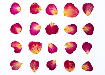 Grid of home-made pressed rose petals on white background - Powered by Adobe