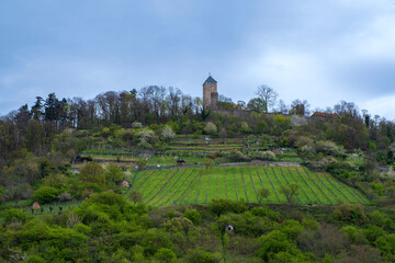 Fototapeta na wymiar View towards Starkenburg near Heppenheim / Germany in the Odenwald high up on the hill 