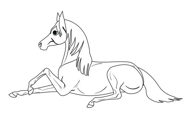 Coloring page with horse. The little pony lay down to rest. Painting for children. Isolated flat vector illustration.