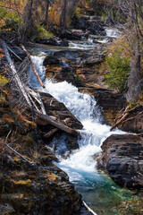 Obraz premium Small cascading waterfall in the woods