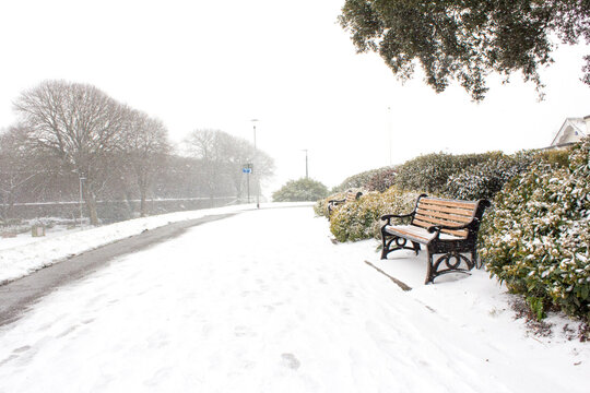 snow covered bench