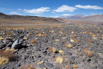 Ruta de los Salares - Desierto de Atacama - Chile