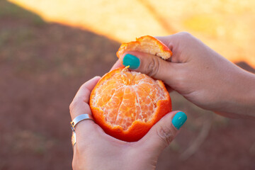Female hands peeling mandarin