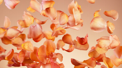 Flying rose petals isolated on orange background.