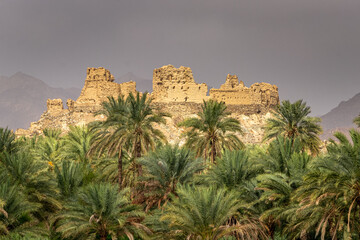 Wadi Al Hoqain village with Date palms in rustaq, oman.