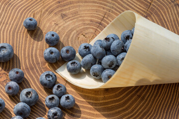 Juicy fresh picked blueberries in a wooden cone