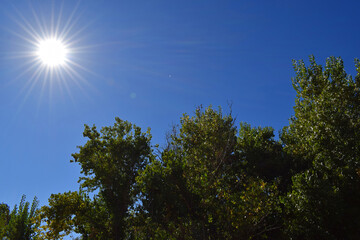 Coyote Creek Trail in Milpitas, CA.