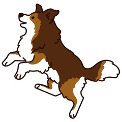 Outlined simple Shetland Sheepdog jumping in side view