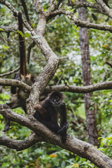 Obraz premium male and female