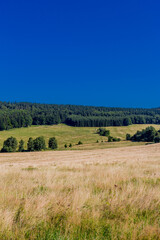 Sommerwanderung entlang des Rennsteigs bei schönstem Sonnenschein