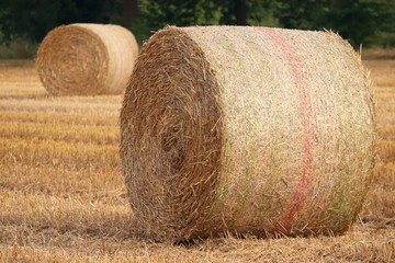 Strohballen auf einem abgeernteten Feld