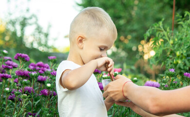 child eats honey in the garden.