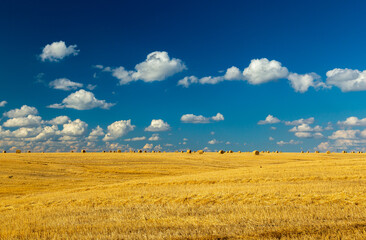 Obraz premium Beautiful sunset over farm field with many hay bales with blue sky and colorful clouds in background